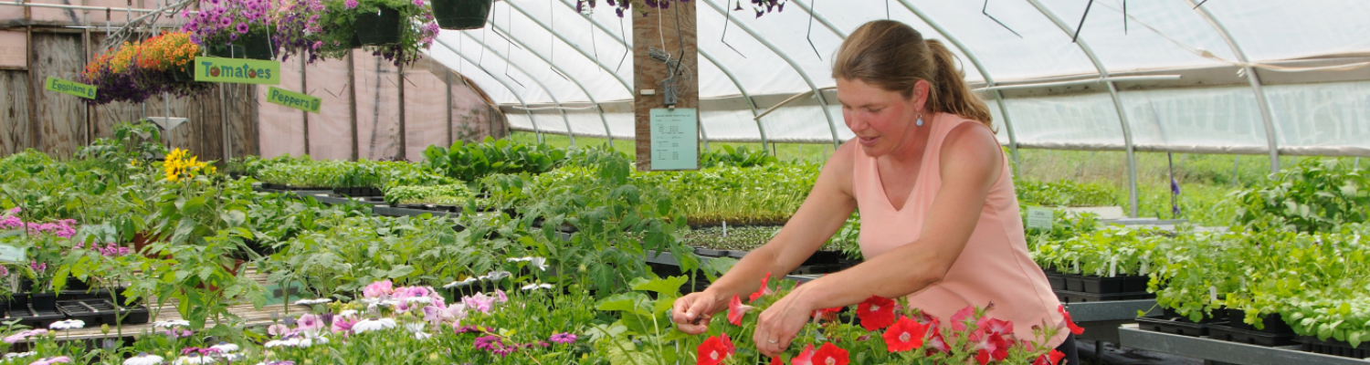 Image of women working with flowers in greenhouse.